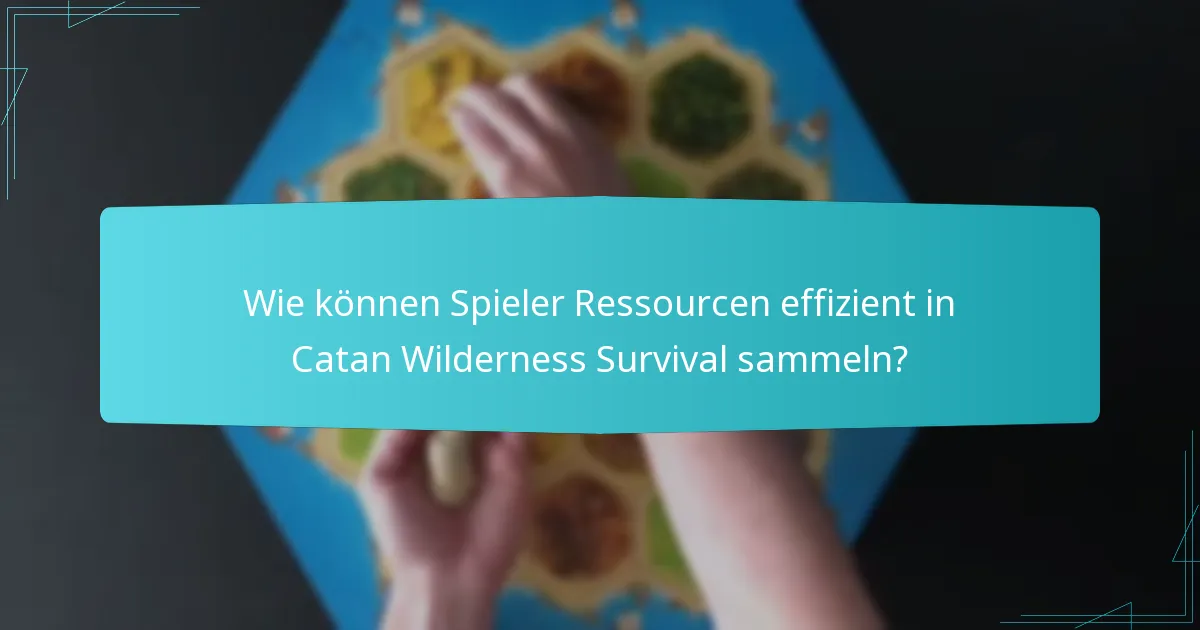 Wie können Spieler Ressourcen effizient in Catan Wilderness Survival sammeln?